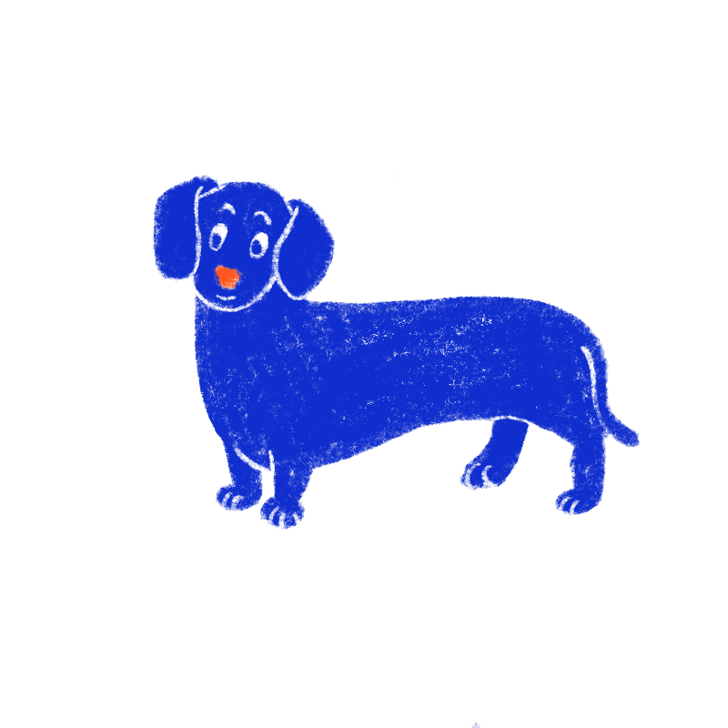 blue dog